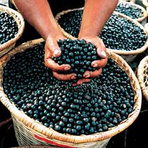 Acai in a Basket