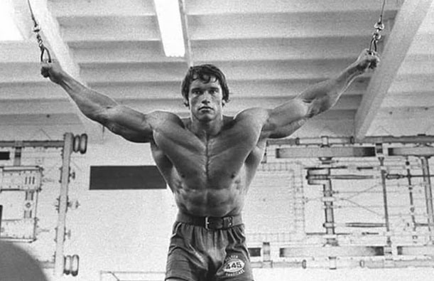 Image result for arnold schwarzenegger 2 a day routine