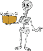 Skeleton