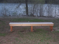 Step up bench