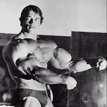 Arnold Biceps