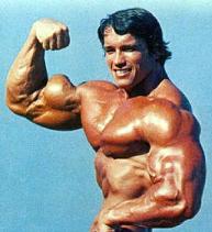 Arnold Biceps