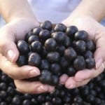 Acai Berries