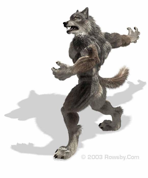 Werewolf Training