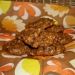 High Pumpkin Protein Cookies