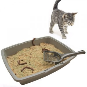 Kitty Litter Cake Recipe