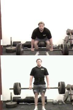 Stay Fit Deadlifts Stay Fit Deadlifts