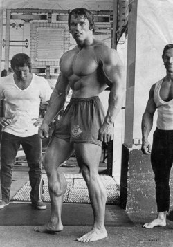 Arnold used the best calf exercises