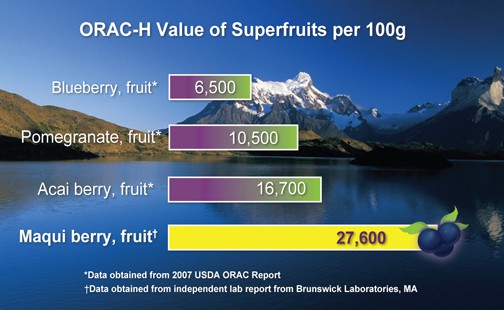 Maqui Berry ORAC Chart