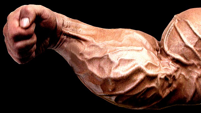 forearm forearm