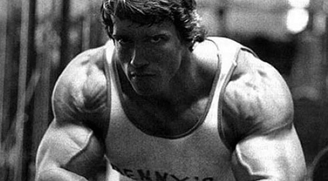 Arnold Schwarzenegger Shoulders