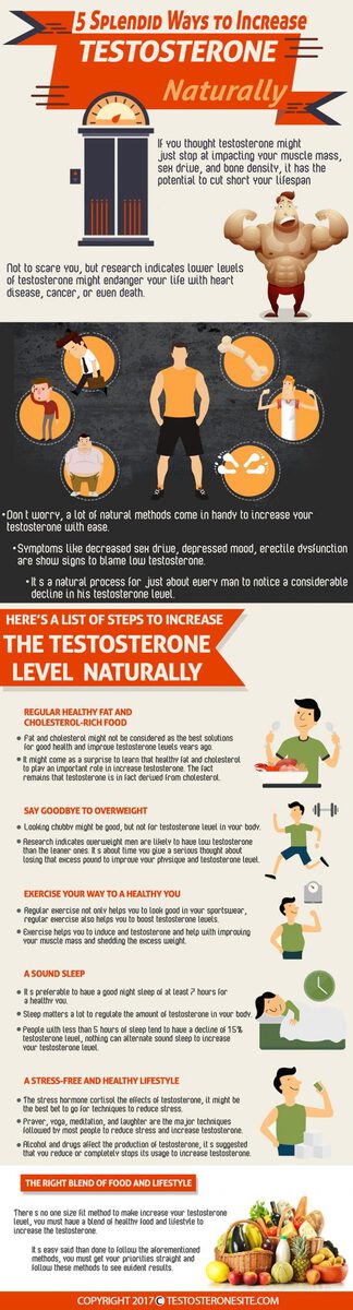 testosterone Infographic