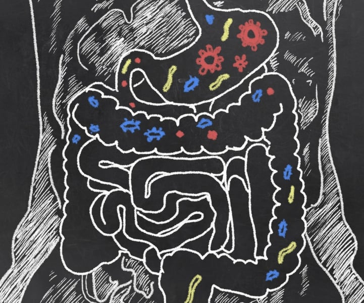 probiotics healthy gut