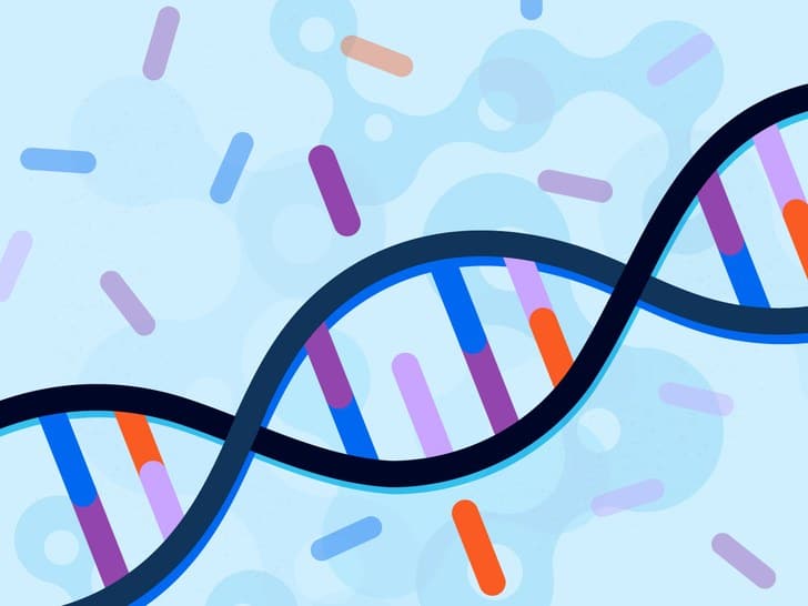 MTHFR Gene Mutations