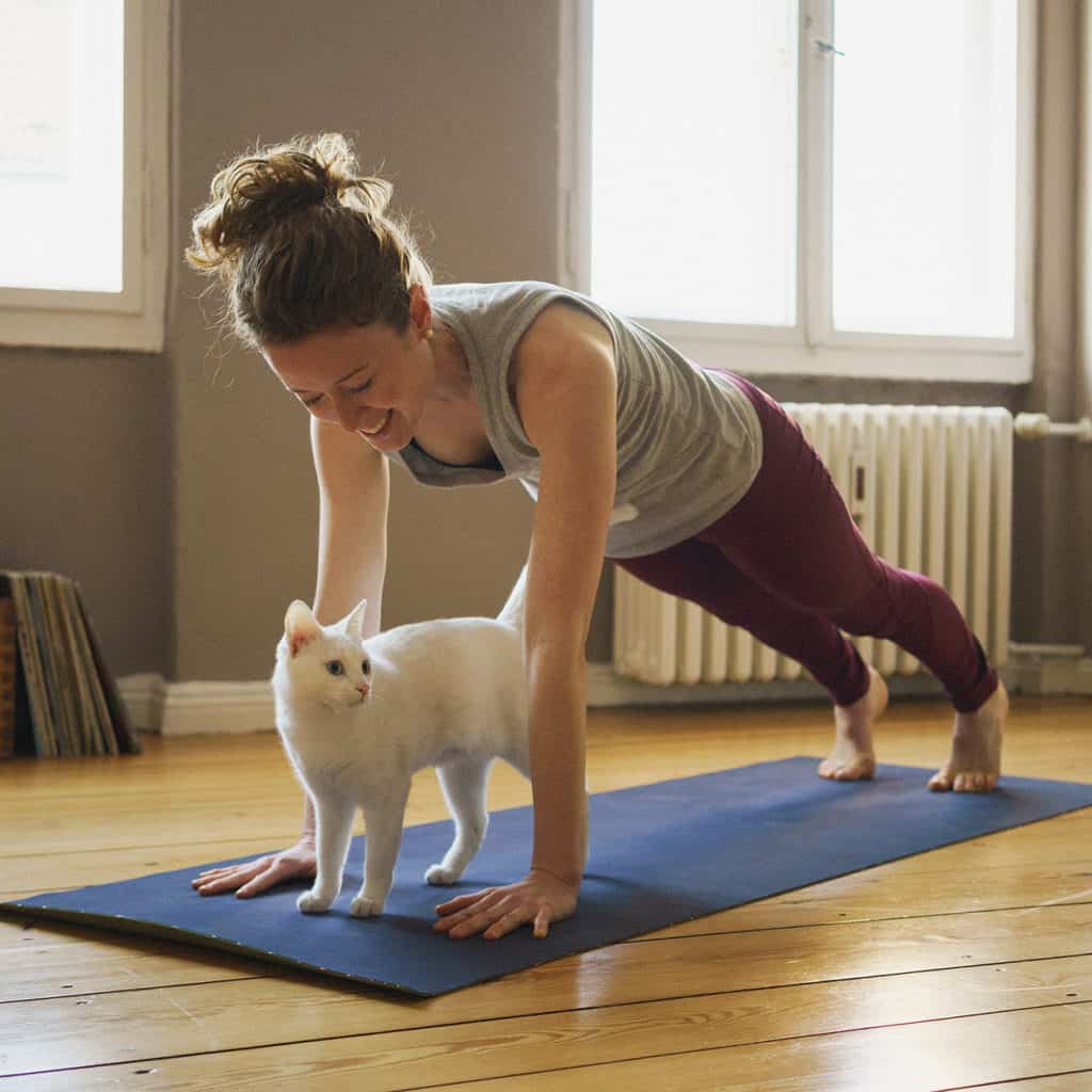 yoga with cats