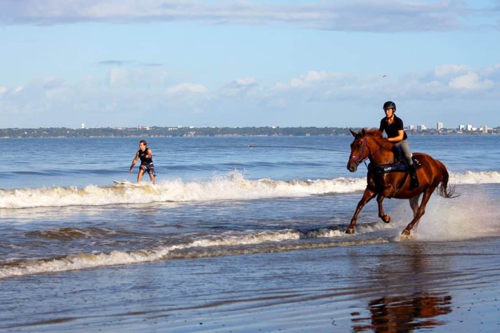 water sports: horse surfing