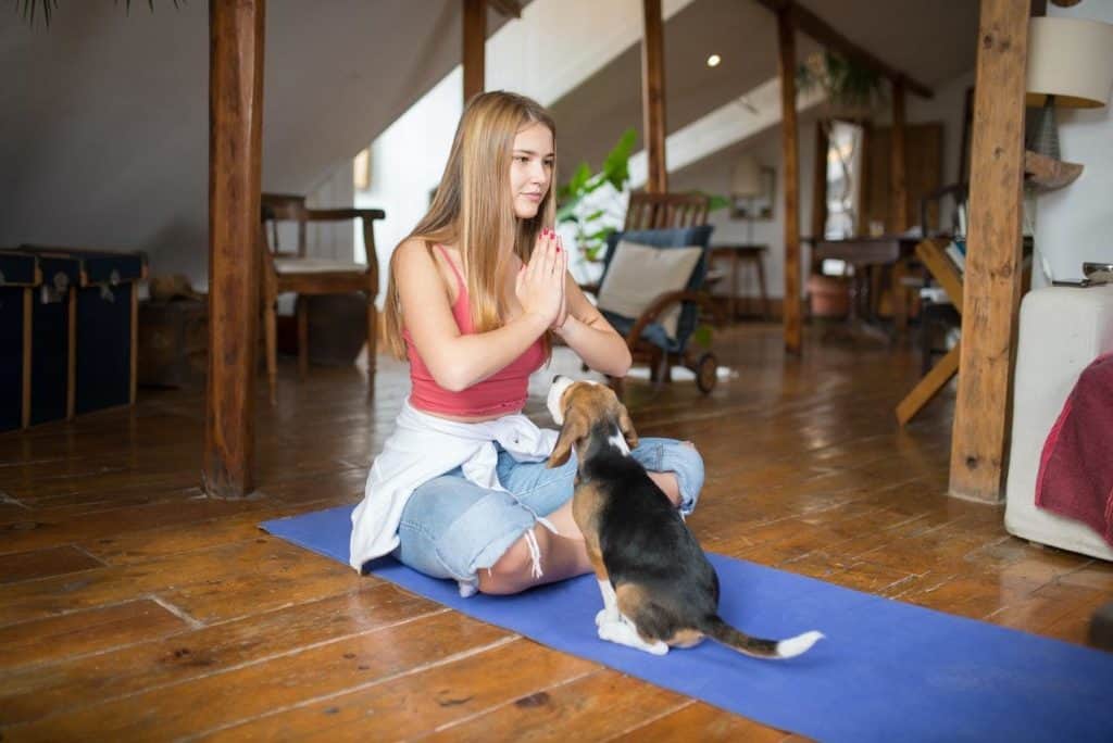 the benefits of puppy yoga