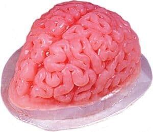 brain mold
